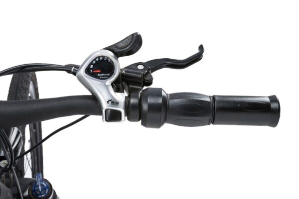 Electric cycle - Image 6