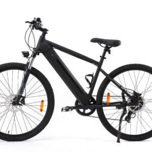Electric cycle